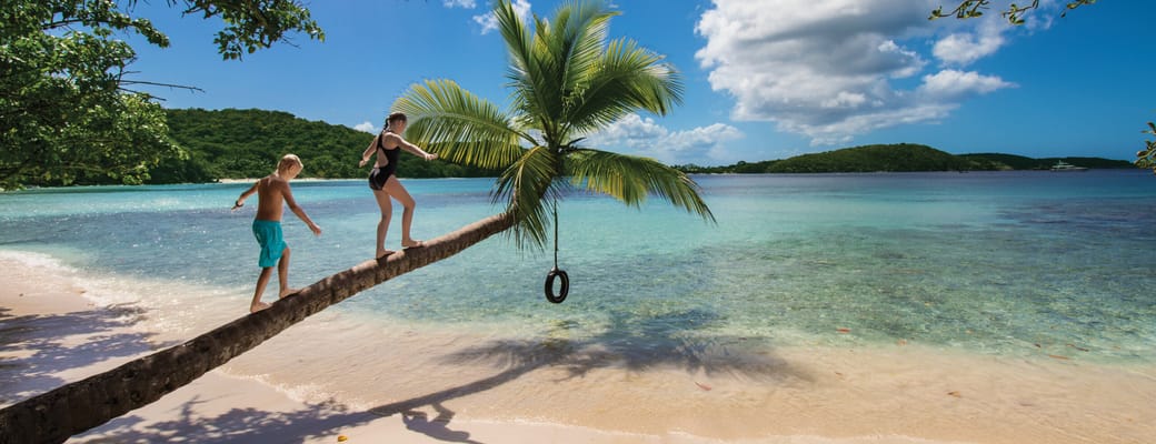 Palmer og strand, 2 personer og en gynge