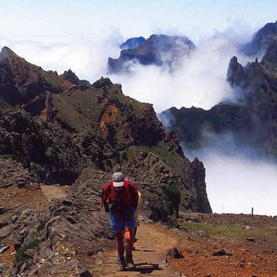Madeira Trekking