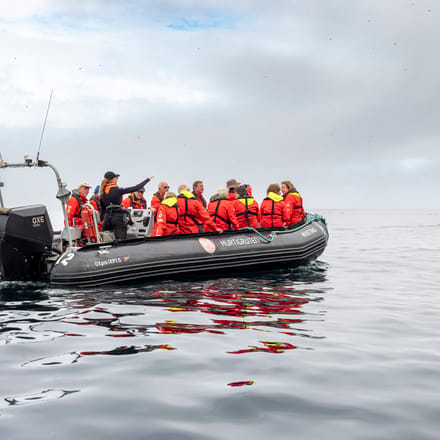 Zodiac b&aring;d ved St. Kilda, Skotland p&aring; Hurtigruten ekspeditionsrejse