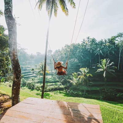 Indonesien Bali tegalalang ubud gynger over ris mark kvinder