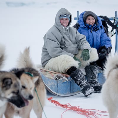 Gr&oslash;nland Ilulissat, Diskobugten, Sl&aelig;dehunde, Sl&aelig;detur, Sne, Natur, Gr&oslash;nl&aelig;ndere, Sl&aelig;dekusk