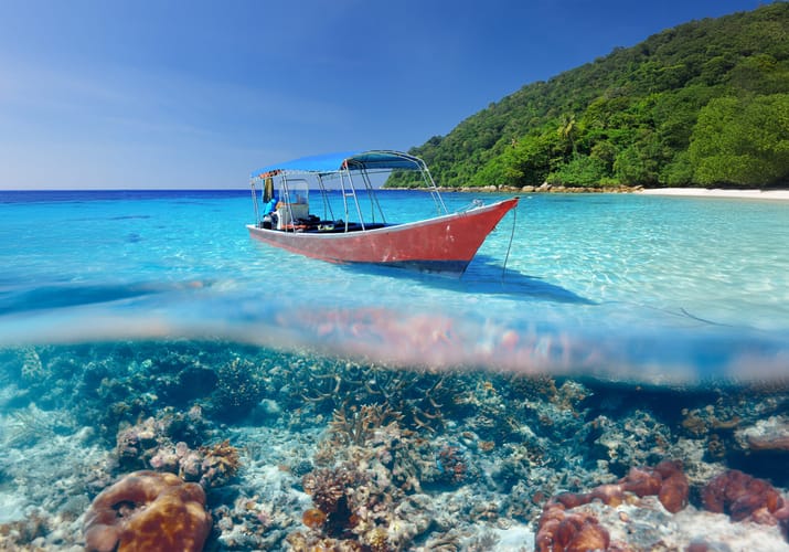 Malaysia perhentian islands baad vand koraller scaled