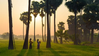 kvinder der går en mellem palmerne på Bali