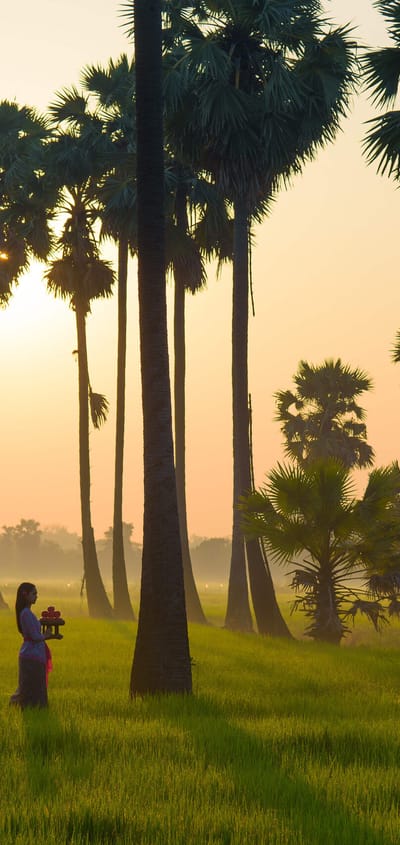 kvinder der går en mellem palmerne på Bali