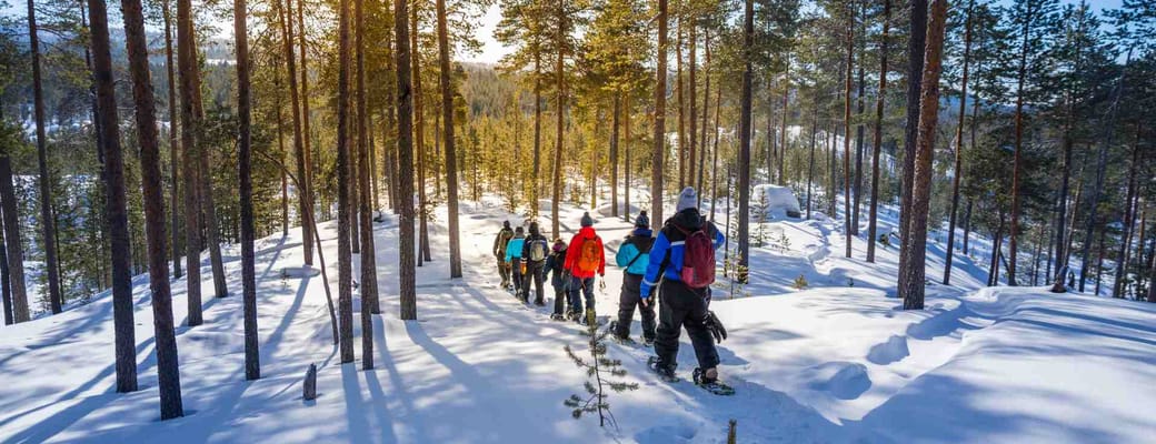 Finland Finske Lapland Nellim Wilderness Hotel, Vandring i Snesko, Vinter, Sne