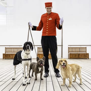 hundelufter ombord p&aring; Cunard