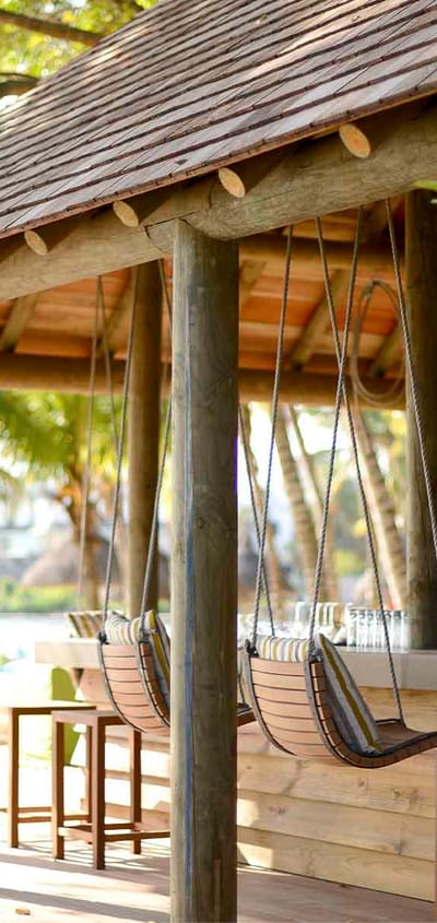 mauritius ravanala