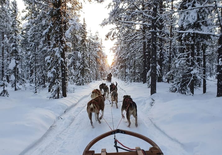Lapland hundeslaede fjellborg arctic journeys scaled overnatning