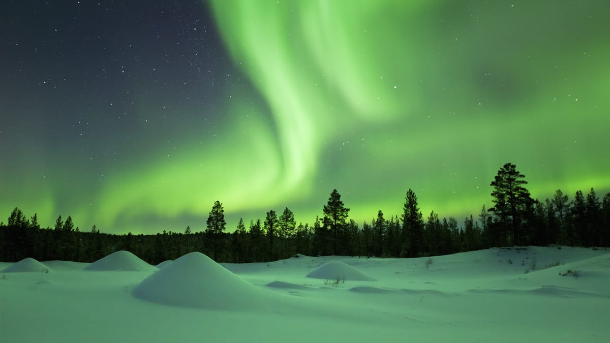 Featured Image