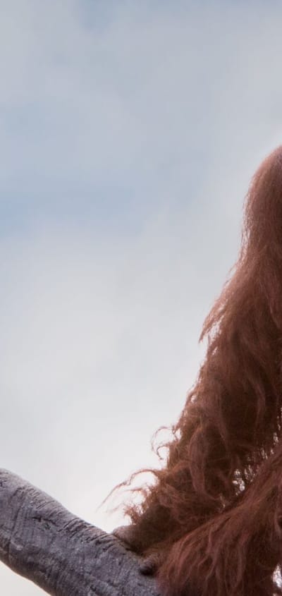 Borneo orangutang scaled