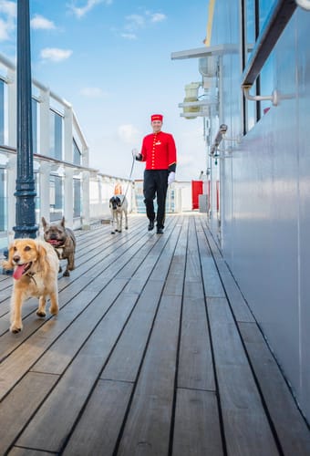 cunard kennels scaled