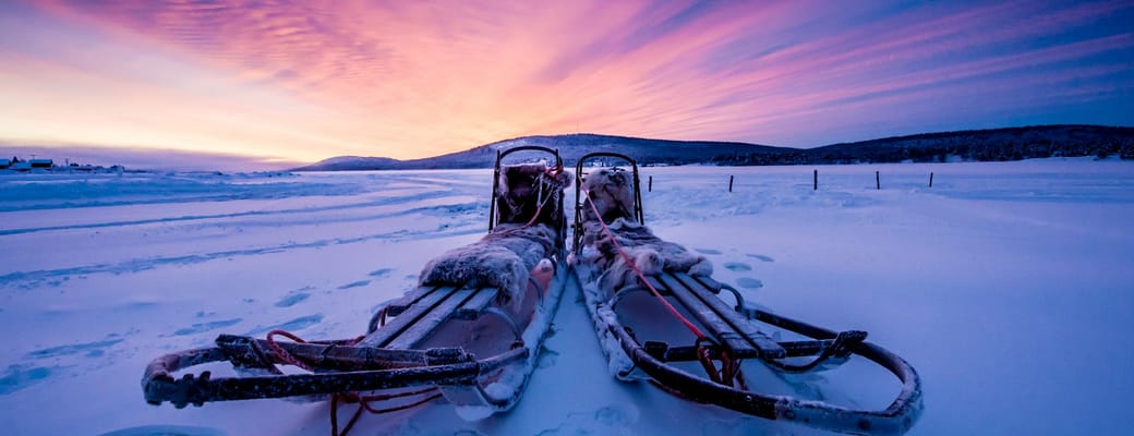 Hundesl&aelig;de i Svensk Lapland Torne River Icehotel