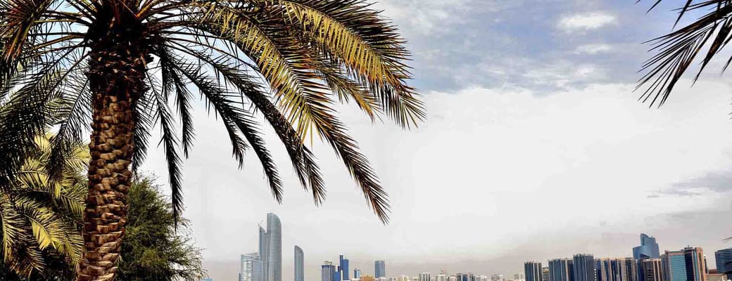 Dubai Forenede Arabiske Emirater Dubai Udsigt Vand Palmer