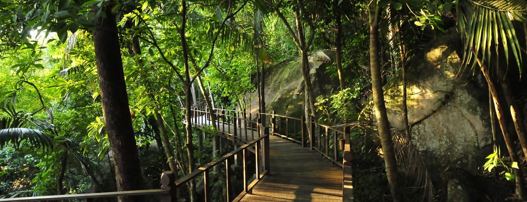 malaysia-tioman-island-jamala-resort-boutique-hotel-jungle-nature-walkway