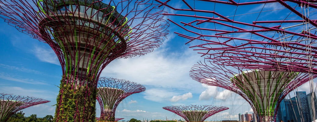 singapore gardens the bay supertrees scaled