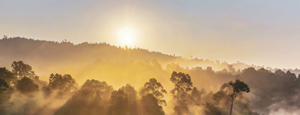 Borneo solopgang over juglen