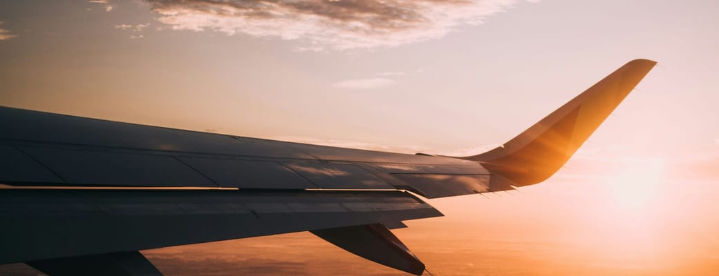 Fly i luften ved solopgang