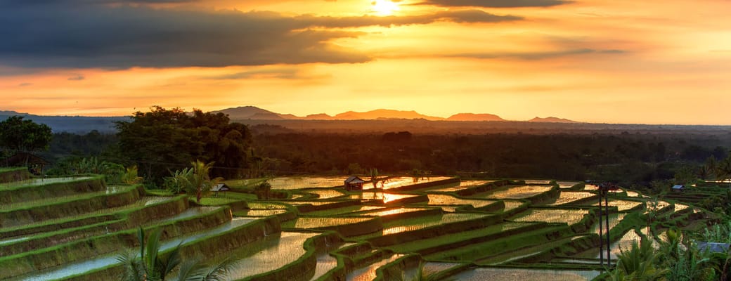 Indonesien Bali munduk jatiluwih scaled
