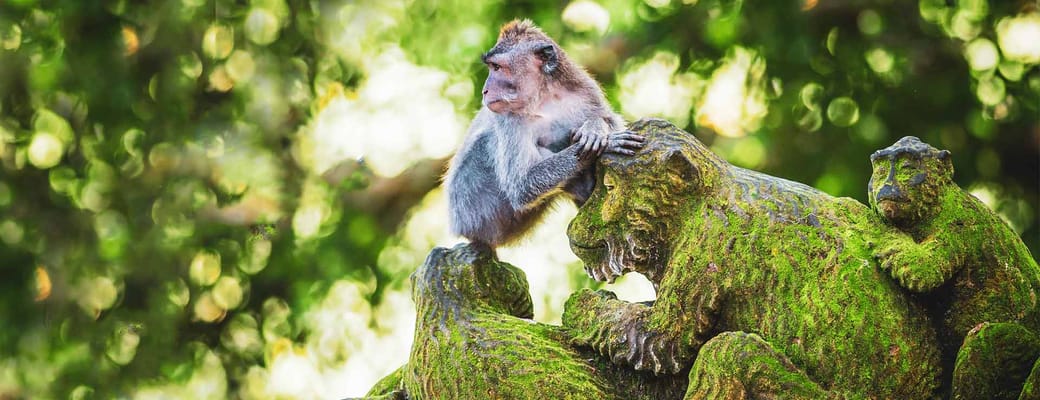 Indonesien Bali ubud abe stenfigurer p&aring;