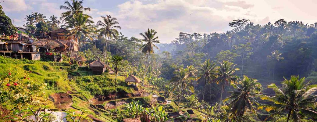 Indonesien Bali, Udflugter Essensen Af Munduk, Rismarker