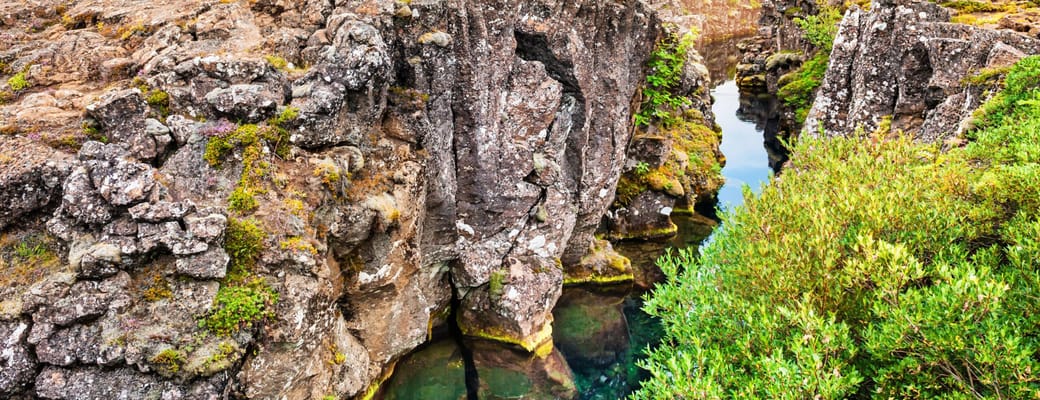 Kl&oslash;ft ved Thingvellir, Island