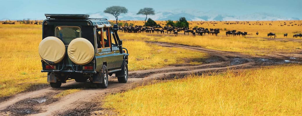 Safari ved foden af Kilimanjaro