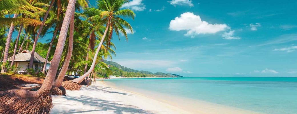skøn strand med palmer koh samui thailand