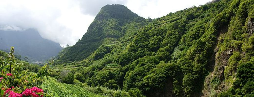 Madeira Vinmarker