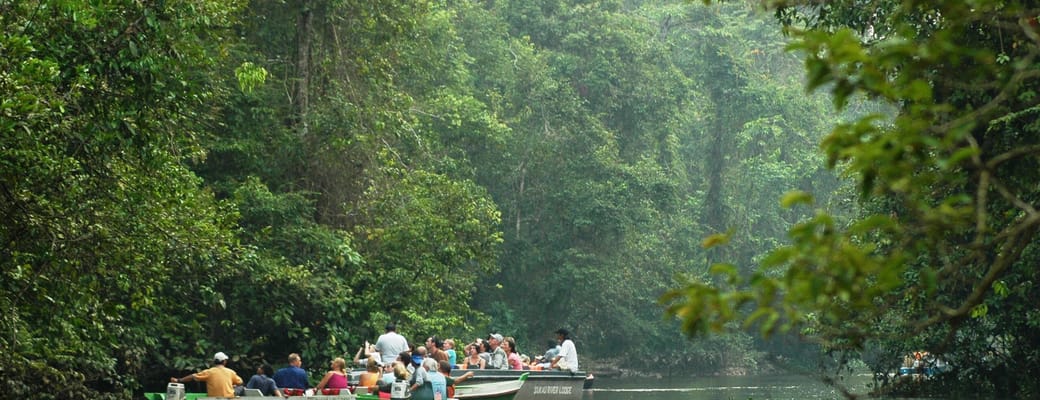 Malaysia Borneo menanggol sukau flod sejltur