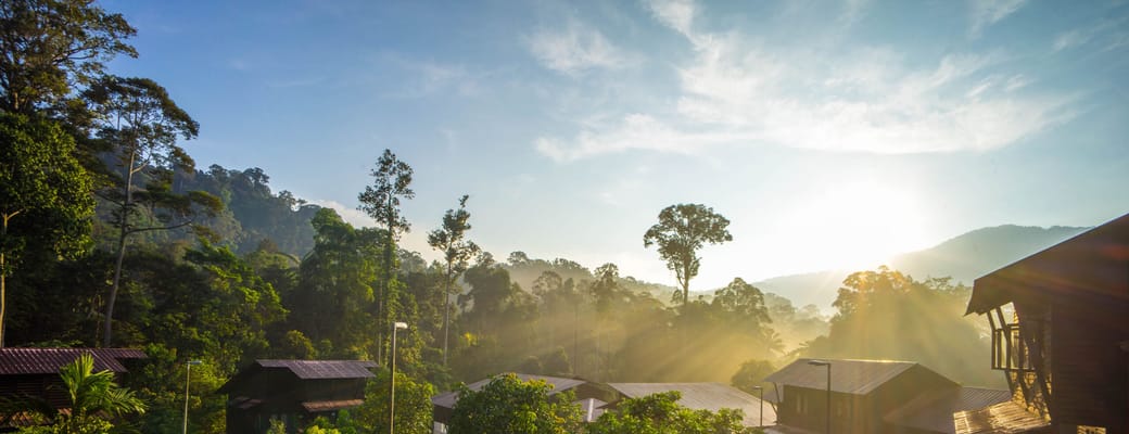 Malaysia taman negara endau rompin udsigt over park ved solopgang scaled