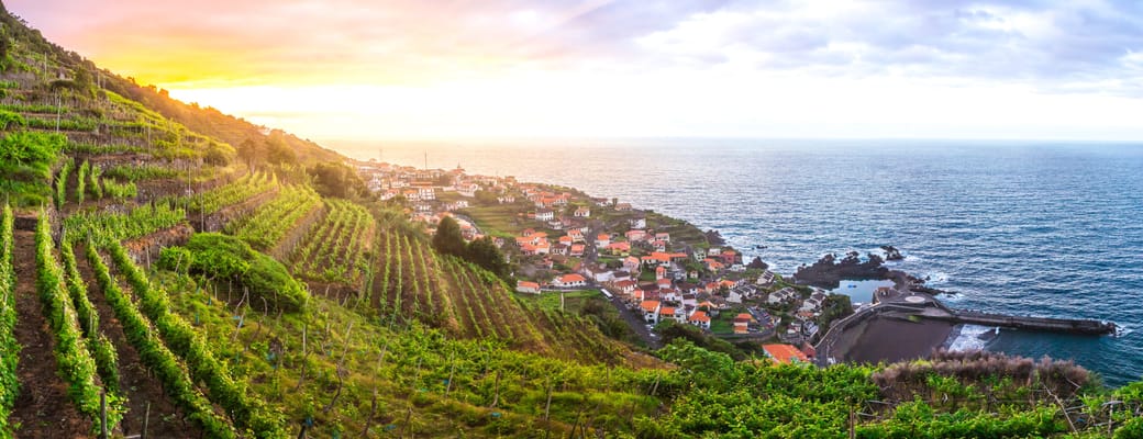 Portugal Madeira Solnedgang Over Vinmarker