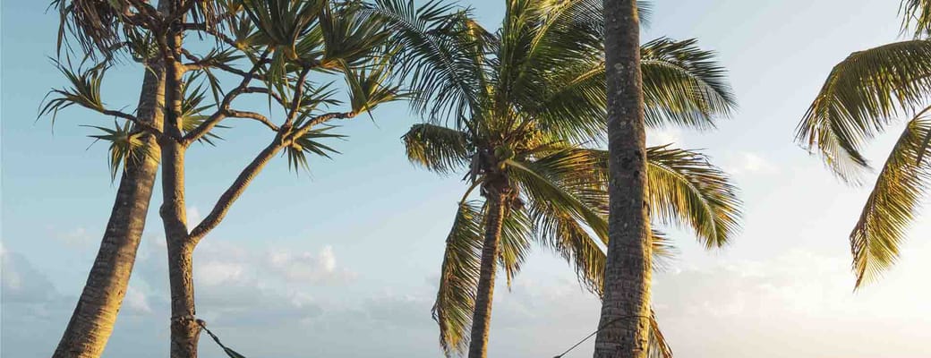 Réunion kvinde ligger haengekoeje ved solnedgang credit cirt stephane godin