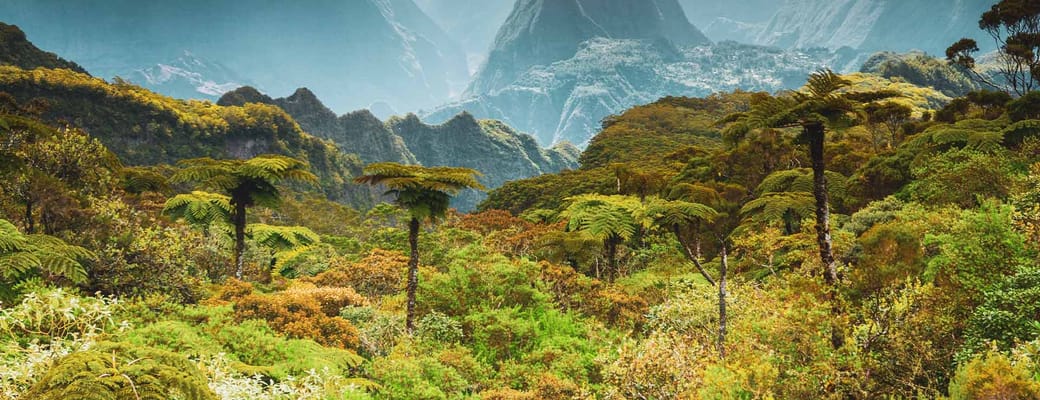 R&eacute;union udsigt over nationalpark