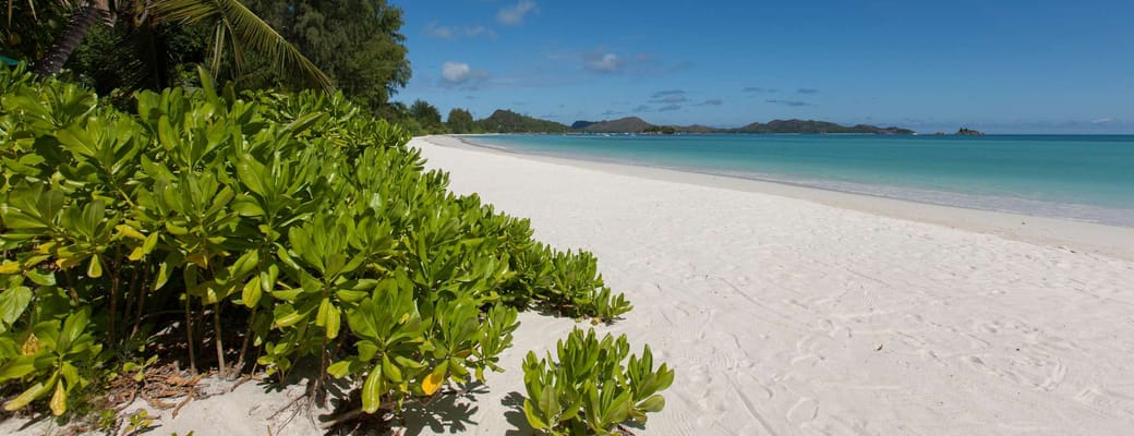 seychellerne praslin acajou beach strand resort