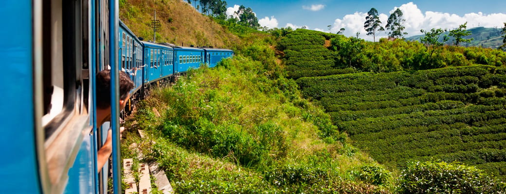 sri lanka fra nuwara til kandy koerer igennem teplantagerne scaled tog