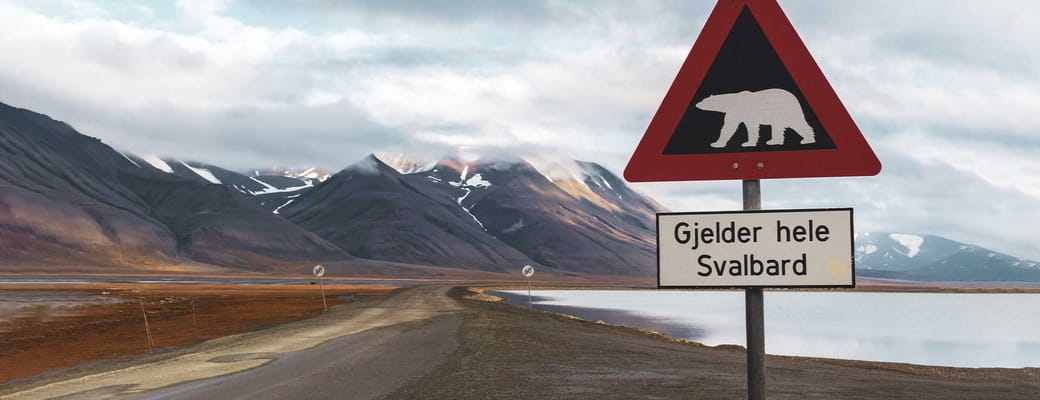 Skilt med advarsel om isbj&oslash;rne, Svalbard