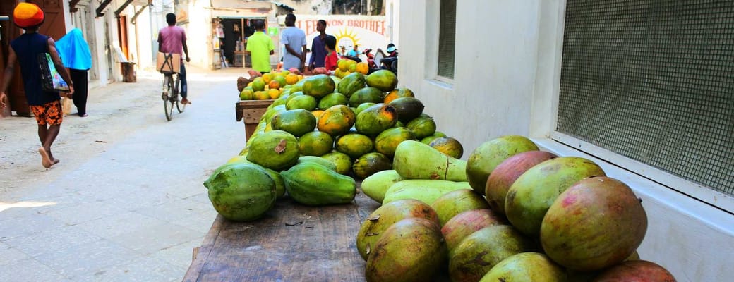 tanzania zanzibar stonetown stone town maerk historien vaeggen udflugt
