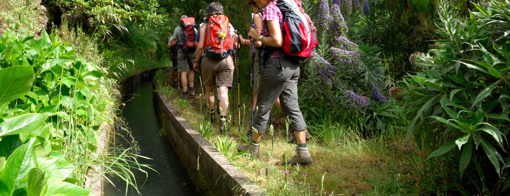 Madeira Levada Vandring
