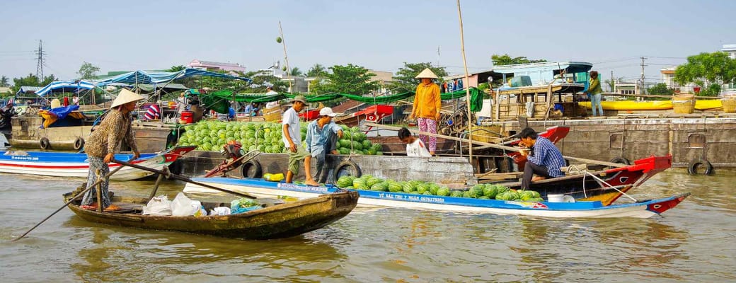 Vietnam chi minh essensen deltaet by udflugt Mekong-floden