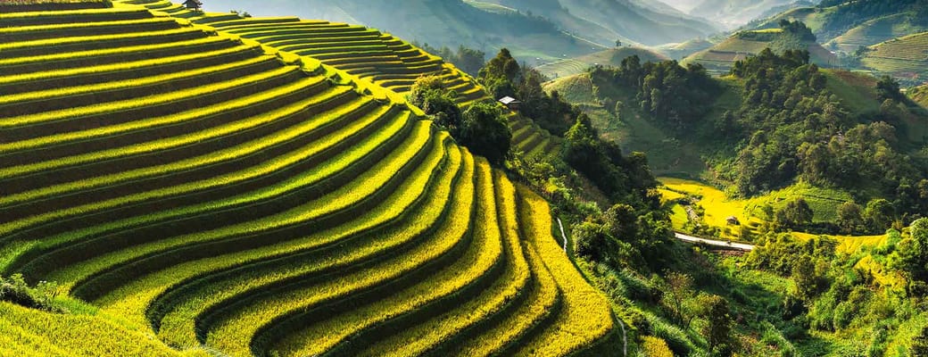 Vietnam cang chai udsigt gty