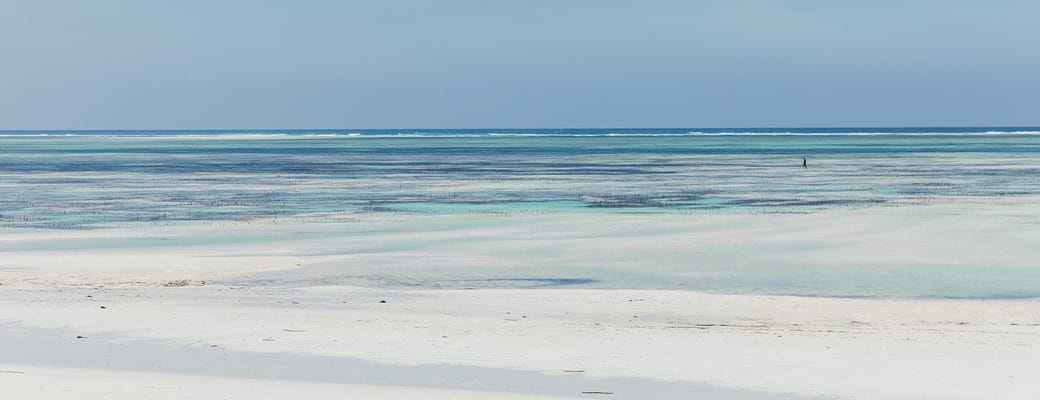 Tanzania Zanzibar LUX Marijani Tidevand