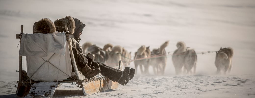 Gr&oslash;nland, Sisimiut, Hundesl&aelig;de i solnedgang, kredit Visit Greenland