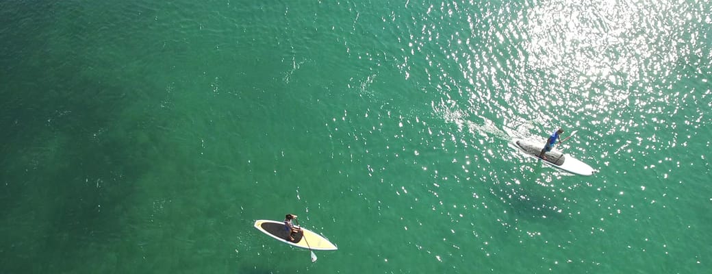 paddleboard