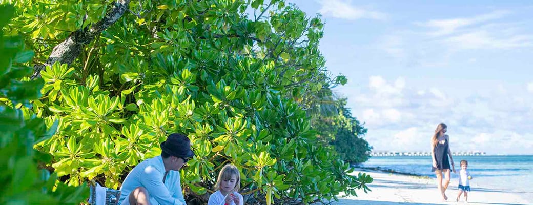 Rejser til Maldiverne, The Residence Maldives at Dhigurah, Picnic p&aring; stranden 