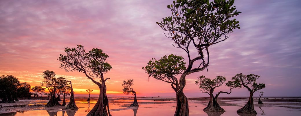 insonesien sumba walakiri beach