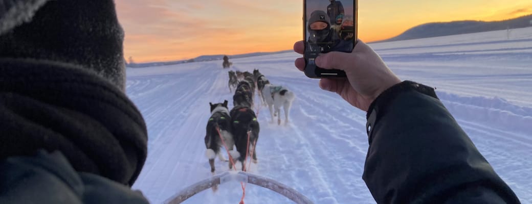 Sverige Lapland selfie ufni scaled ishotel hundesl&aelig;detur oplevelse