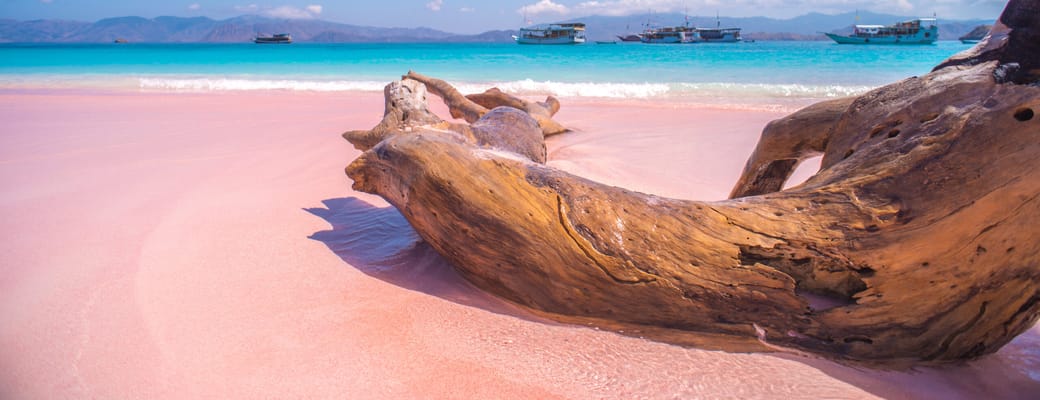 Indonesien flores labuan bajo pink beach komodo national park scaled