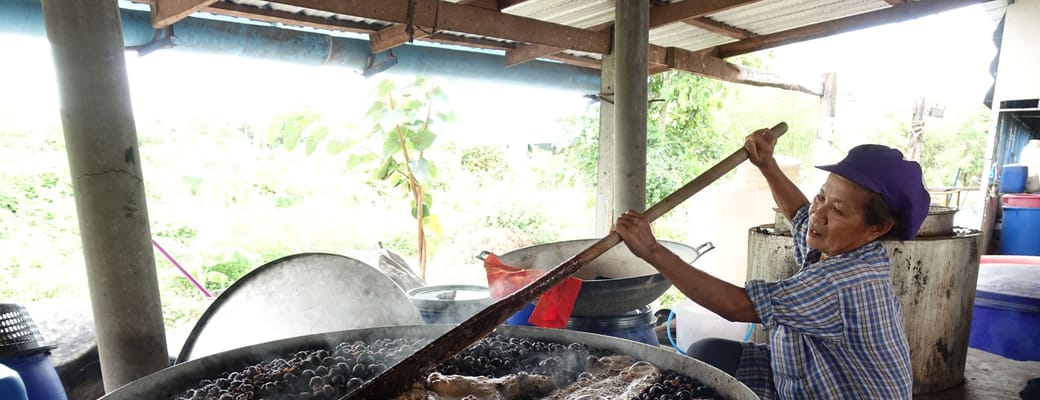 Thailand pioneering lanna trail tur indigo farvning phrae dag2
