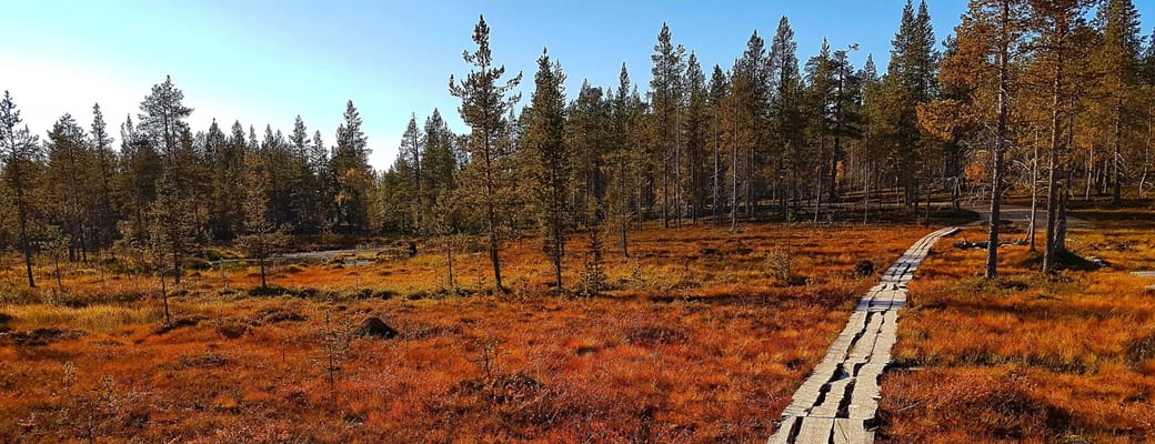 finland Lapland wilderness hotels autumn hiking1 scaled