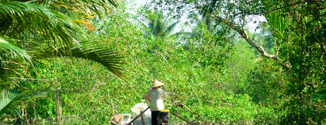 Vietnam delta woman boat scaled Mekong-floden